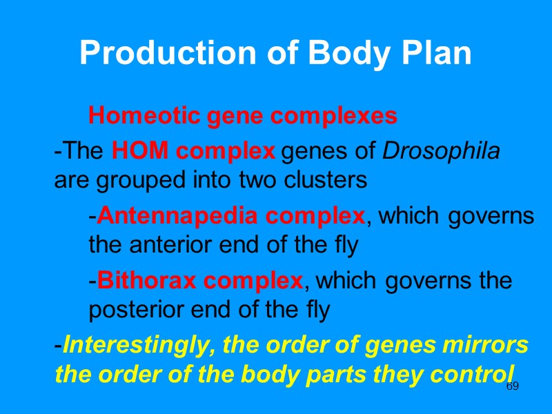 69 Production of Body Plan Homeotic 69 Production of Body Plan Homeotic